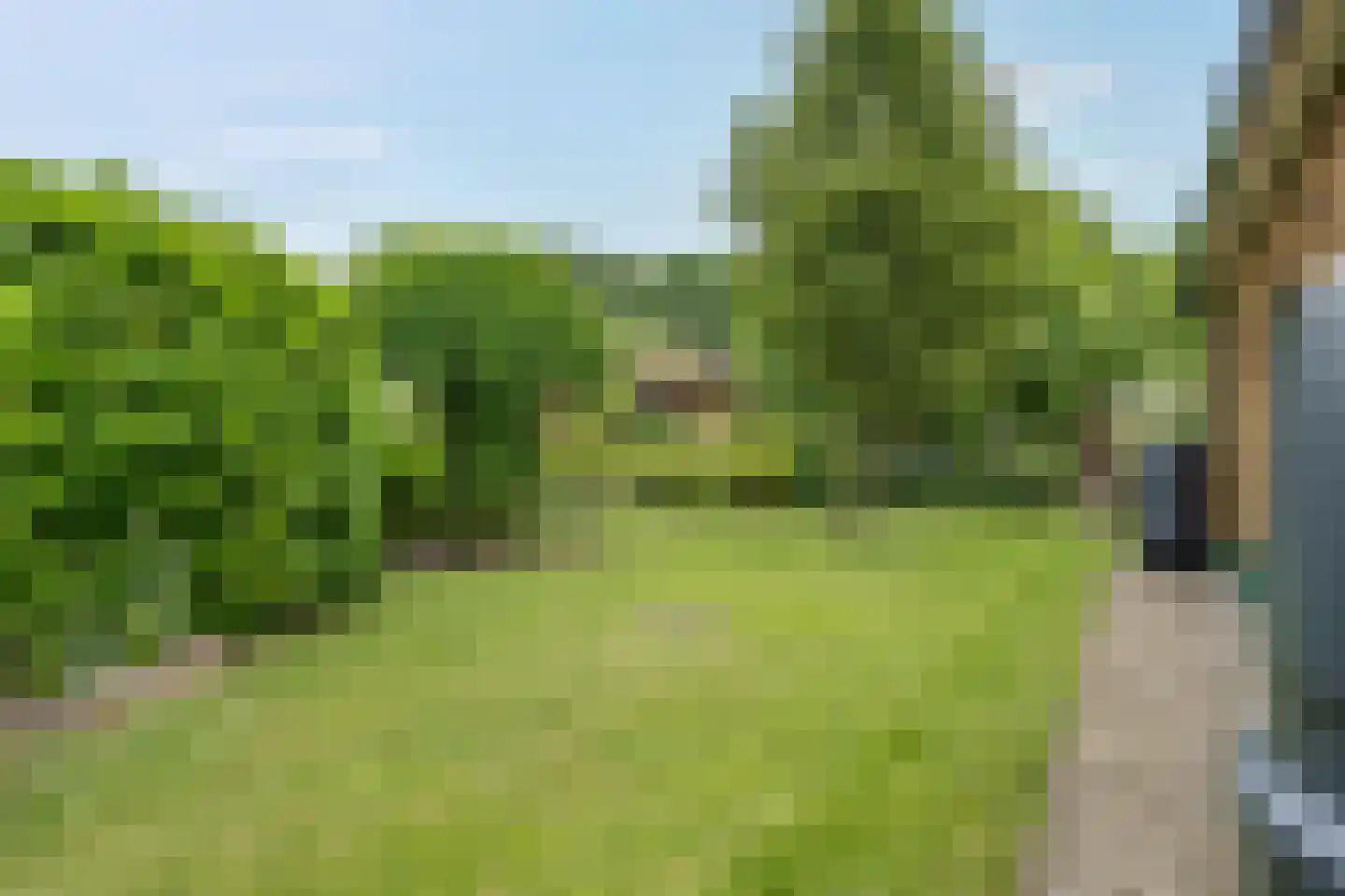 Heetveld 1 R 42 Sint Jansklooster thumbnail 13