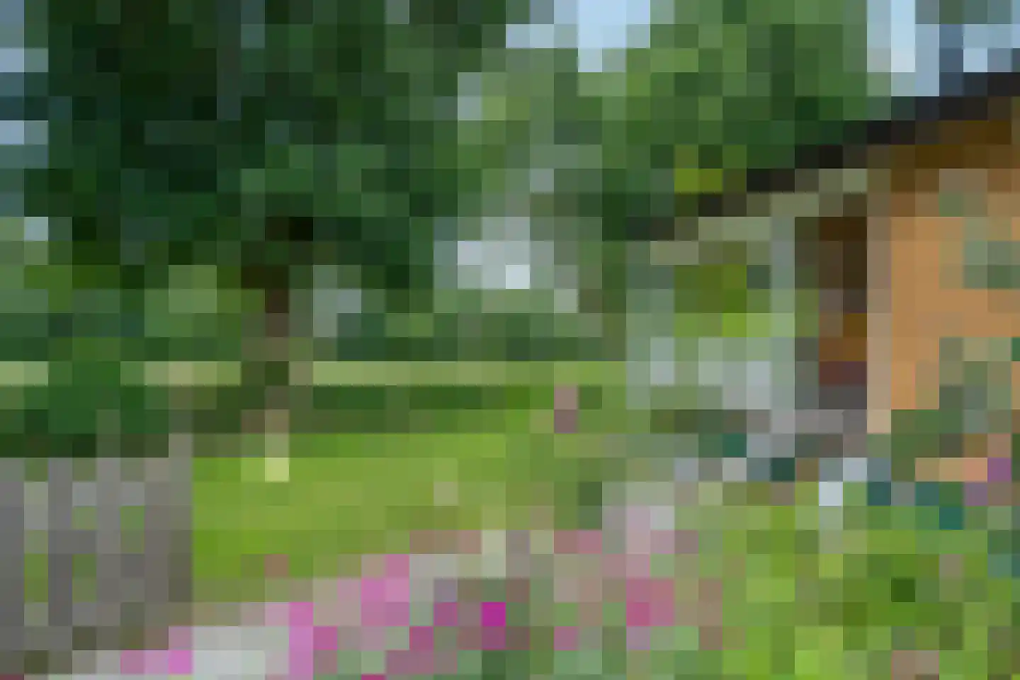 Heetveld 1 R 42 Sint Jansklooster thumbnail 15