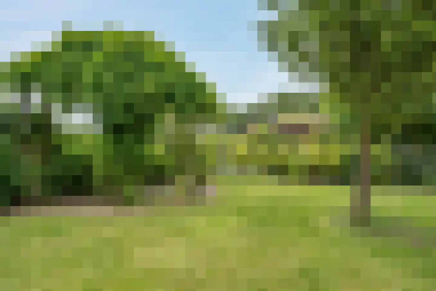 Heetveld 1 R 42 Sint Jansklooster thumbnail 15