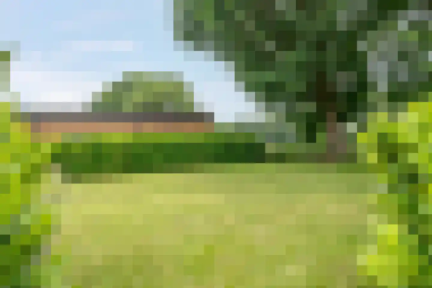 Heetveld 1 R 42 Sint Jansklooster thumbnail 15