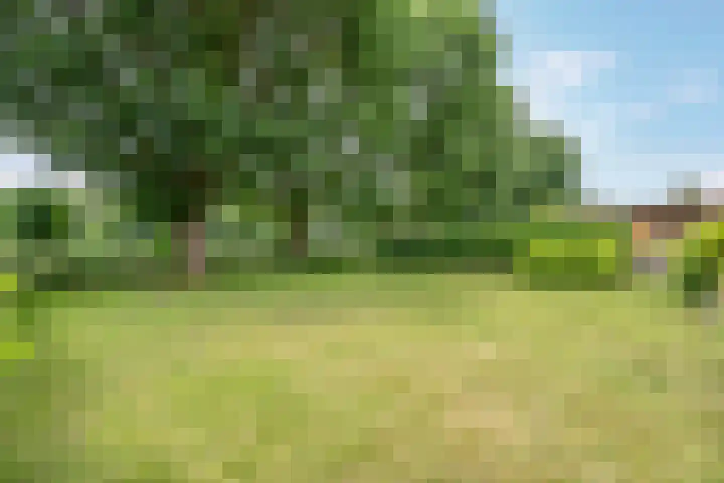 Heetveld 1 R 42 Sint Jansklooster thumbnail 16