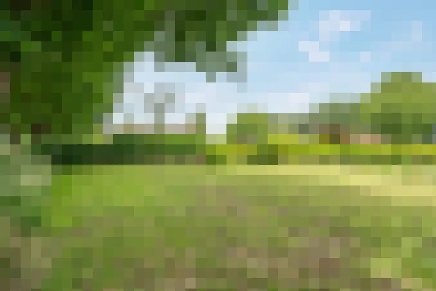 Heetveld 1 R 42 Sint Jansklooster thumbnail 17