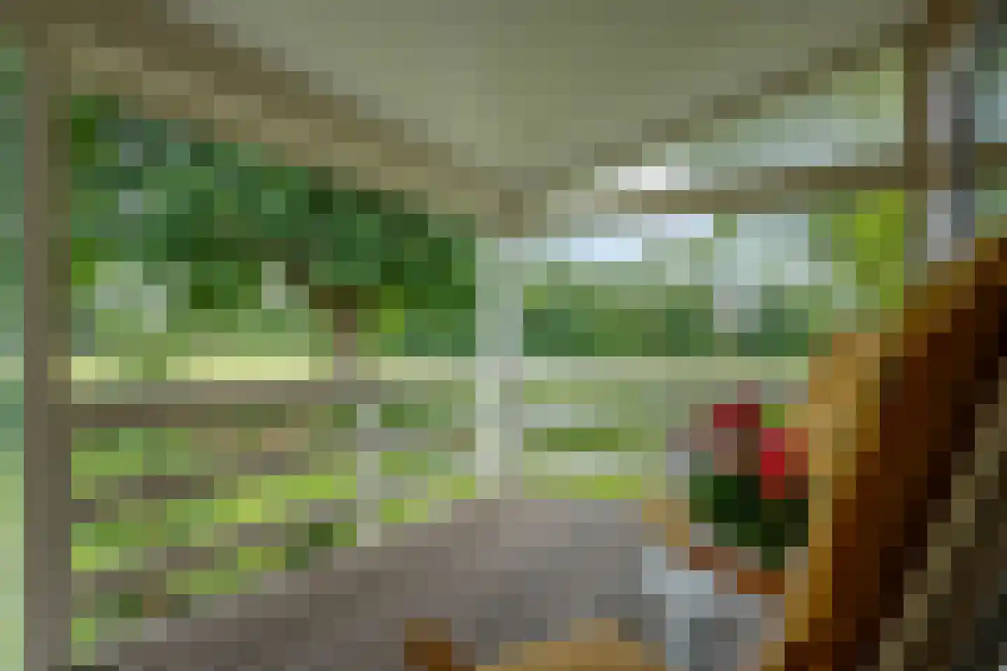 Heetveld 1 R 42 Sint Jansklooster thumbnail 17