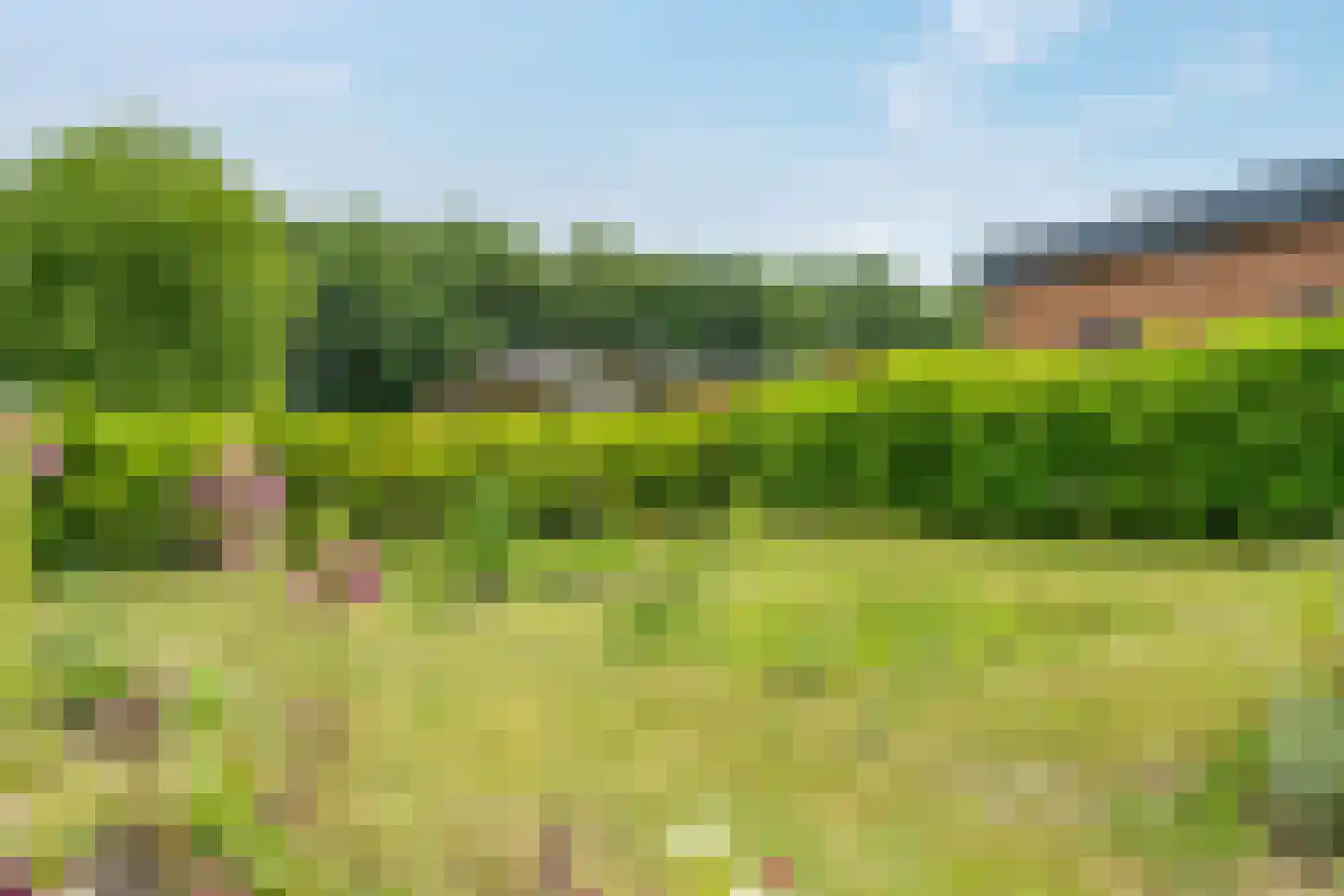Heetveld 1 R 42 Sint Jansklooster thumbnail 19