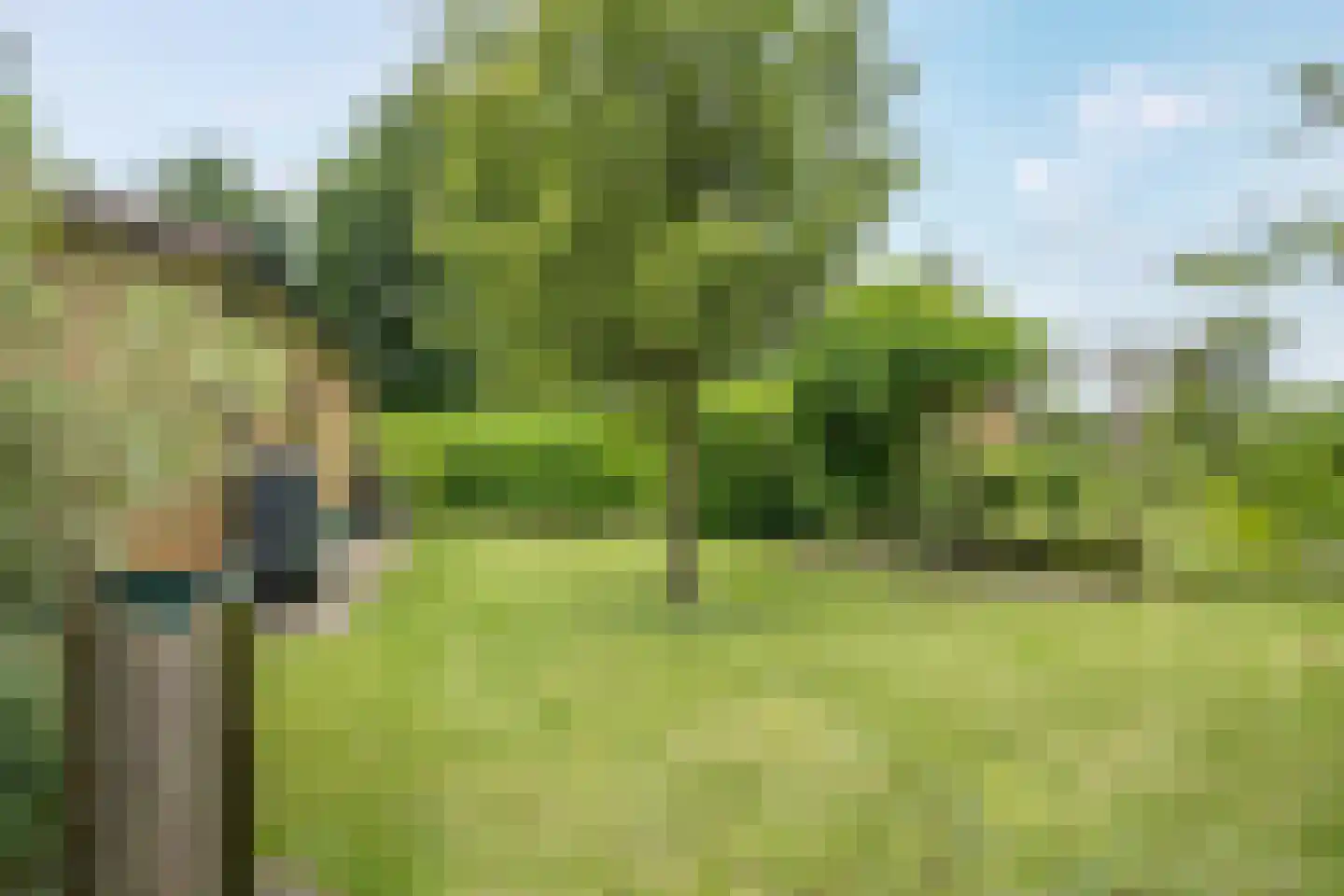 Heetveld 1 R 42 Sint Jansklooster thumbnail 19