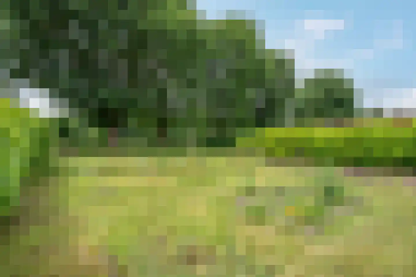 Heetveld 1 R 42 Sint Jansklooster thumbnail 20