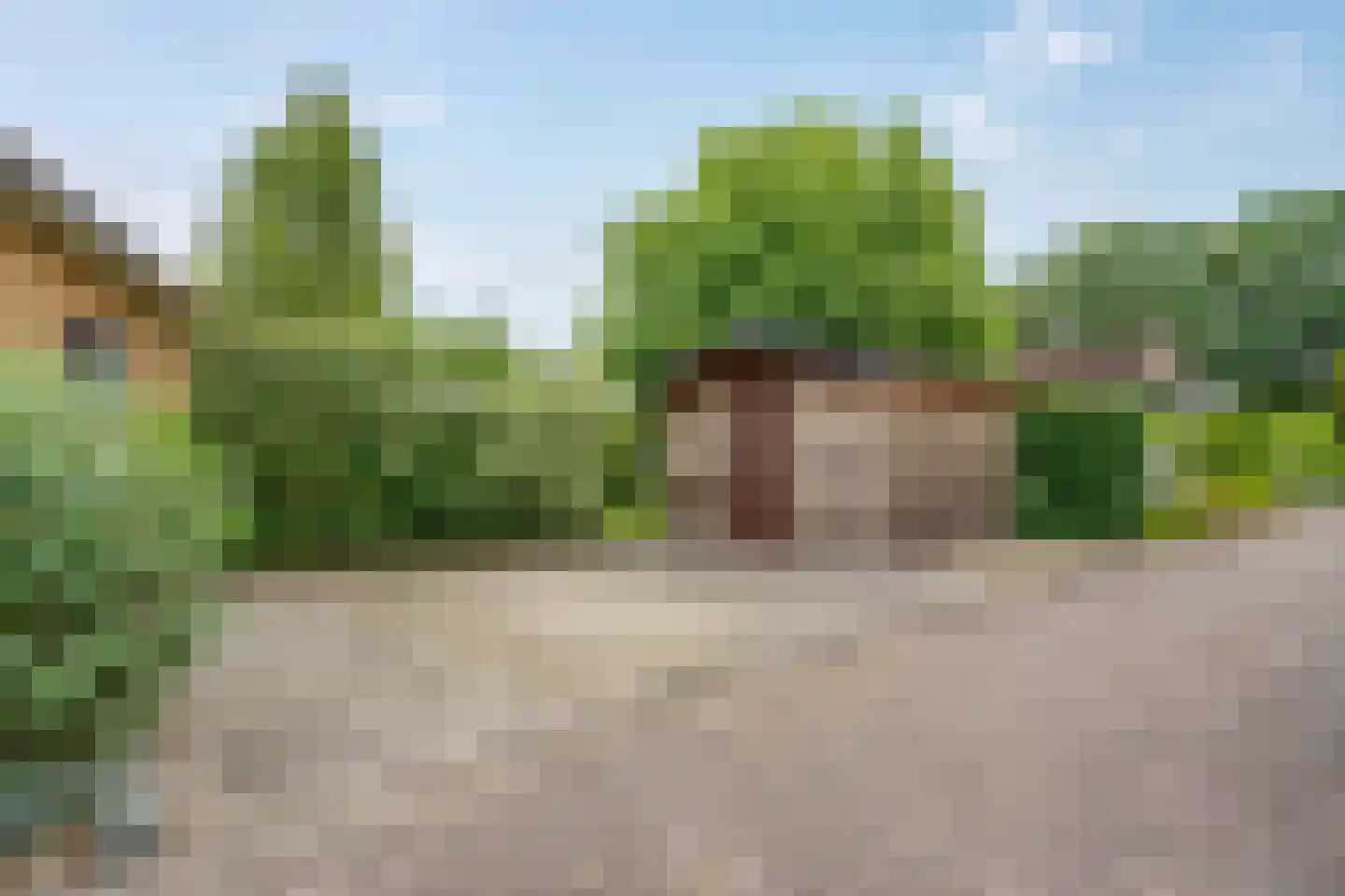 Heetveld 1 R 42 Sint Jansklooster thumbnail 42