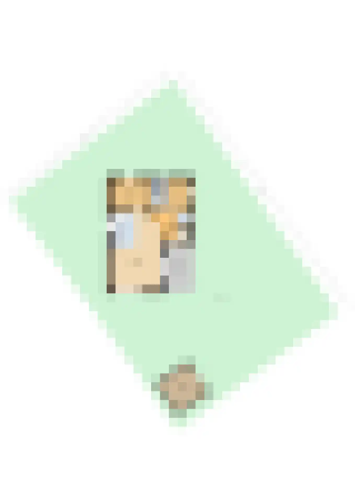 Heetveld 1 R 42 Sint Jansklooster thumbnail 53