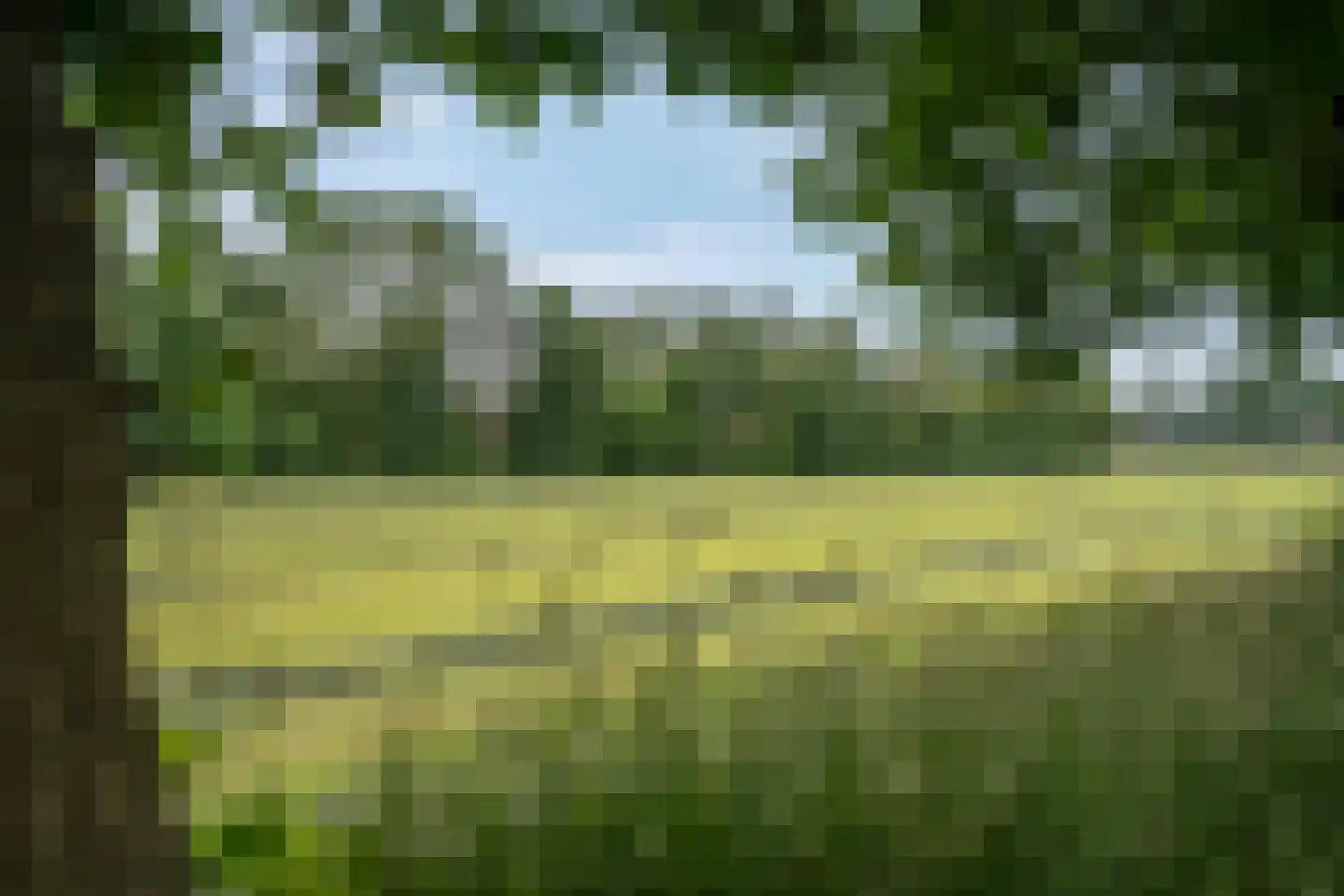 Heetveld 1 R 42 Sint Jansklooster thumbnail 6