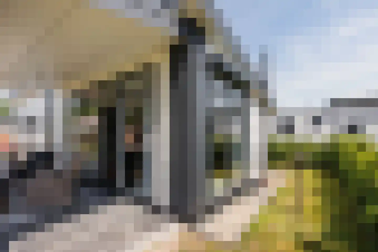 Heetveld 1 R 53 Sint Jansklooster thumbnail 31