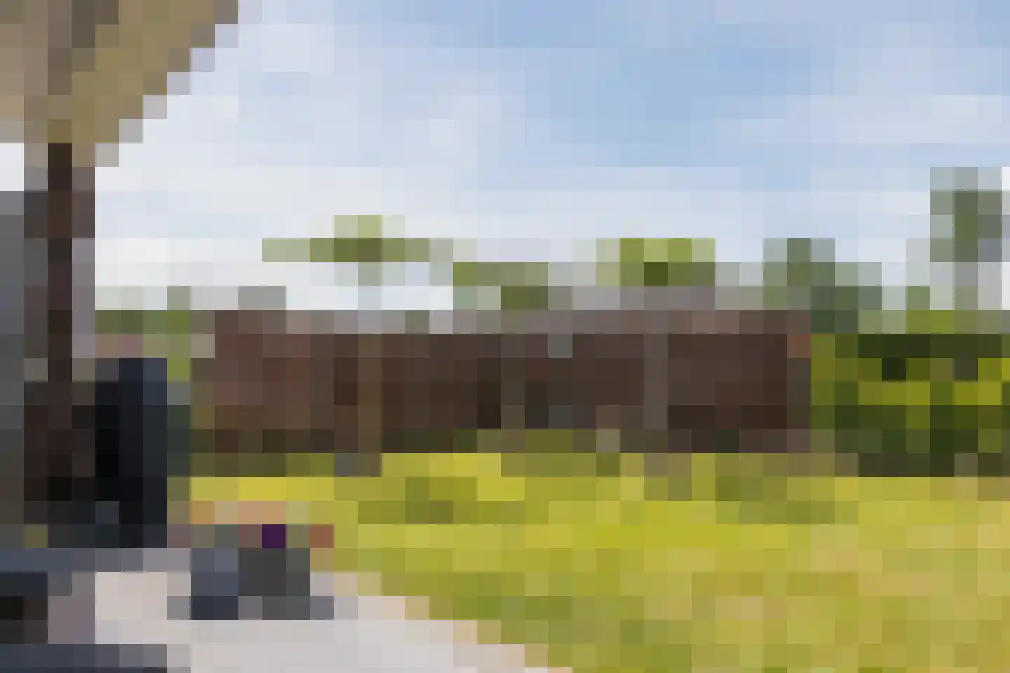 Heetveld 1 R 53 Sint Jansklooster thumbnail 33