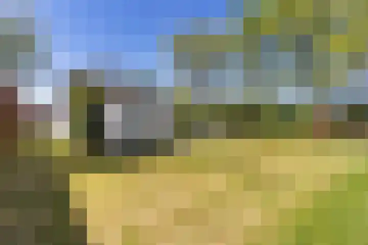 Heetveld 1 R 60 Sint Jansklooster thumbnail 10