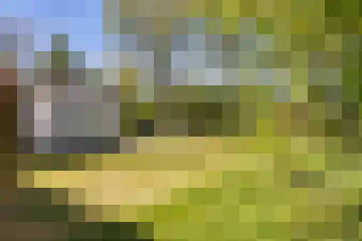 Heetveld 1 R 60 Sint Jansklooster thumbnail 11