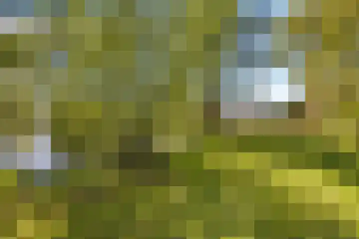 Heetveld 1 R 60 Sint Jansklooster thumbnail 12