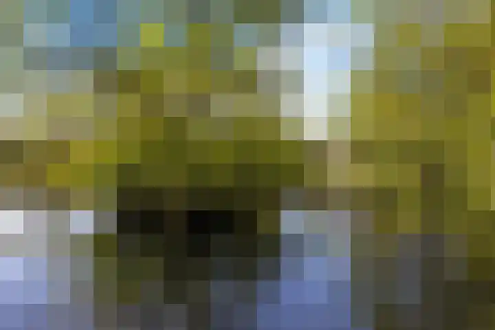 Heetveld 1 R 60 Sint Jansklooster thumbnail 13