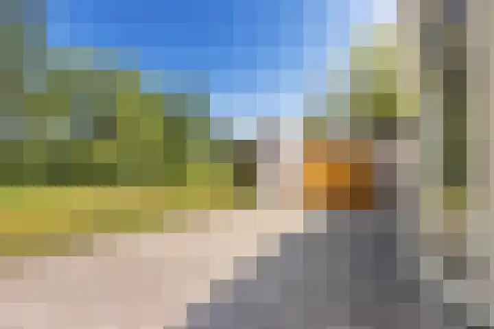 Heetveld 1 R 60 Sint Jansklooster thumbnail 14