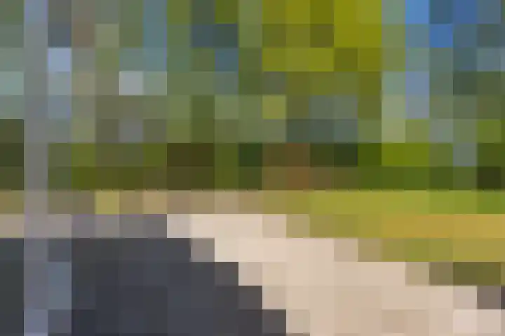 Heetveld 1 R 60 Sint Jansklooster thumbnail 15
