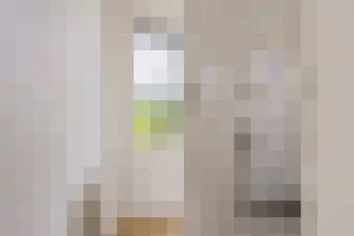 Heetveld 1 R 60 Sint Jansklooster thumbnail 32