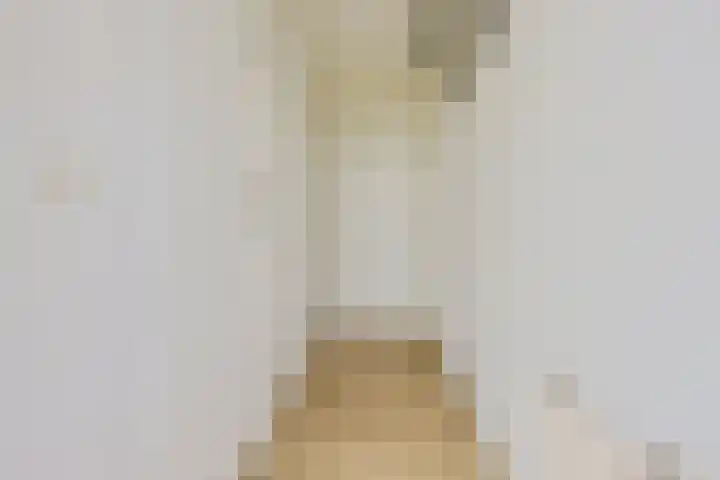 Heetveld 1 R 60 Sint Jansklooster thumbnail 34