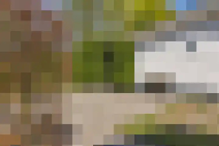 Heetveld 1 R 60 Sint Jansklooster thumbnail 35