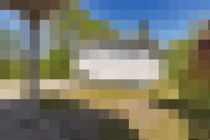 Heetveld 1 R 60 Sint Jansklooster thumbnail 36