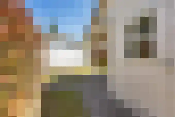 Heetveld 1 R 60 Sint Jansklooster thumbnail 37