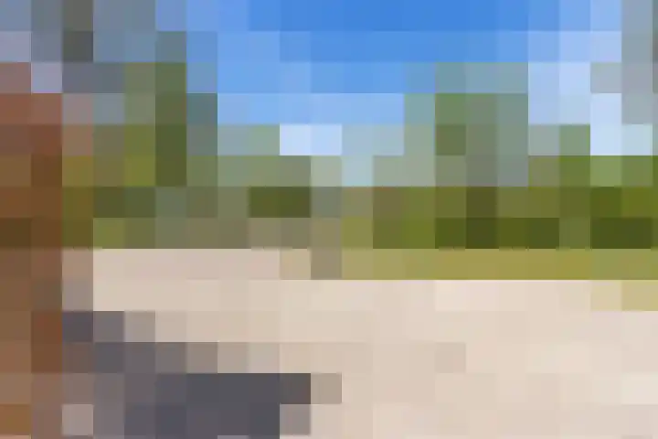 Heetveld 1 R 60 Sint Jansklooster thumbnail 38