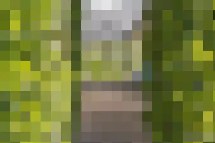 Heetveld 1 R 60 Sint Jansklooster thumbnail 4