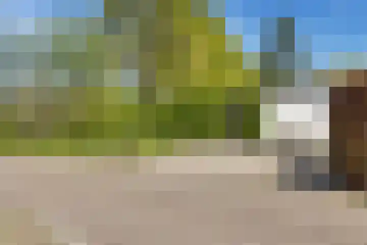 Heetveld 1 R 60 Sint Jansklooster thumbnail 40