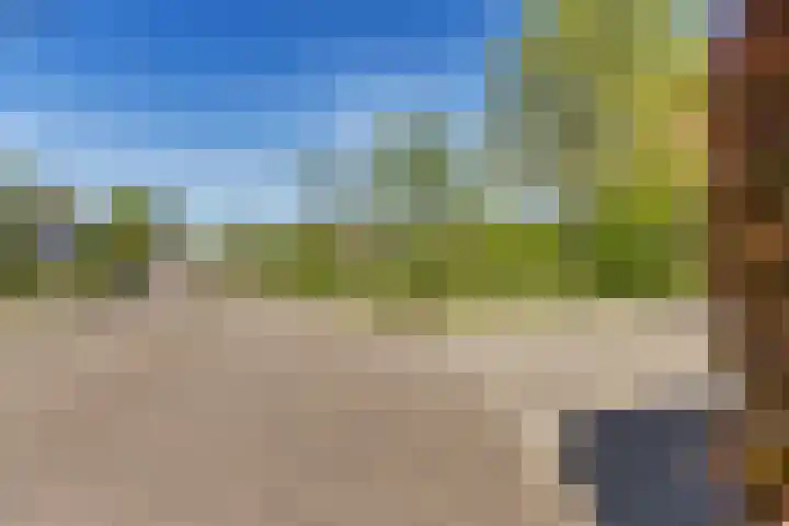 Heetveld 1 R 60 Sint Jansklooster thumbnail 41