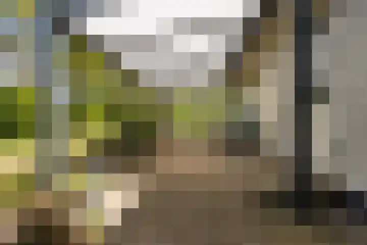 Heetveld 1 R 60 Sint Jansklooster thumbnail 7