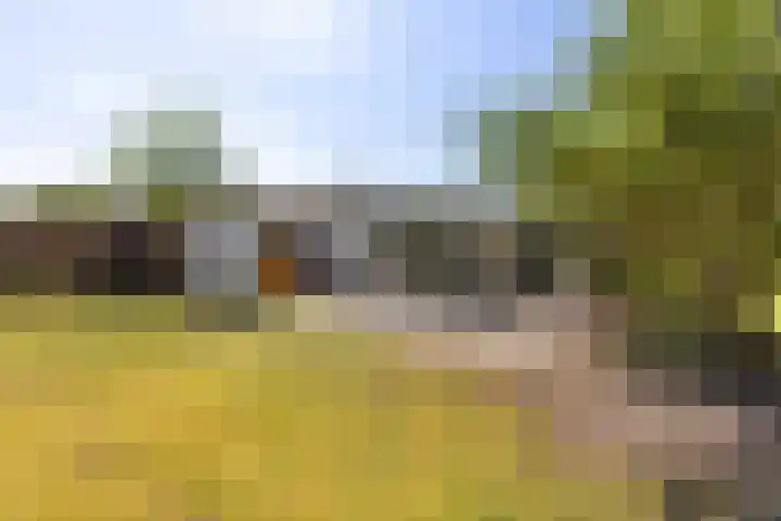 Heetveld 1 R 60 Sint Jansklooster thumbnail 8