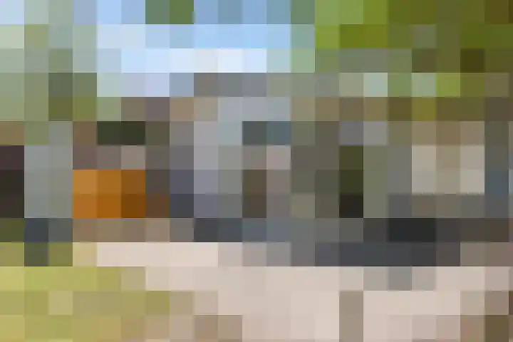 Heetveld 1 R 60 Sint Jansklooster thumbnail 9
