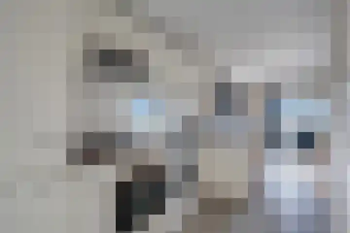 Heetveld 1 R 65 Sint Jansklooster thumbnail 11