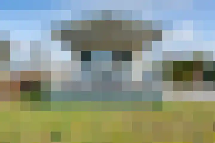 Heetveld 1 R 65 Sint Jansklooster thumbnail 5