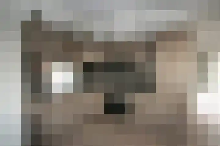 Heetveld 1 R 69 Sint Jansklooster thumbnail 13