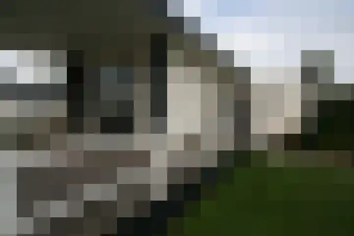 Heetveld 1 R 69 Sint Jansklooster thumbnail 24