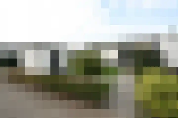 Heetveld 1 R 69 Sint Jansklooster thumbnail 27