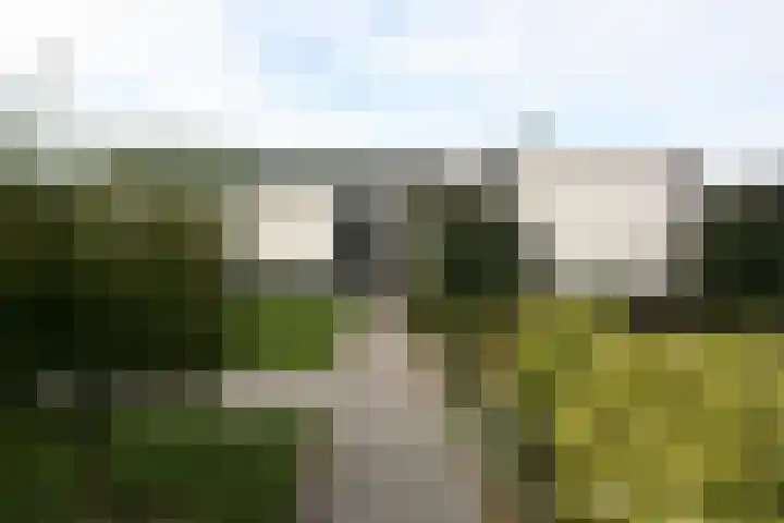 Heetveld 1 R 69 Sint Jansklooster thumbnail 28