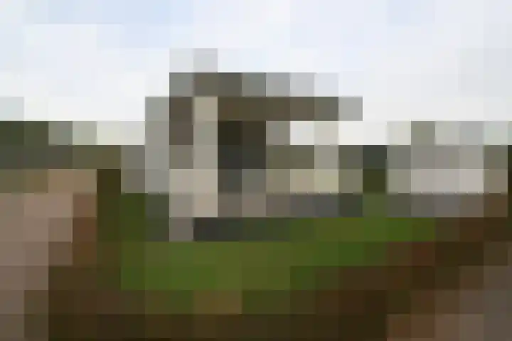 Heetveld 1 R 69 Sint Jansklooster thumbnail 29