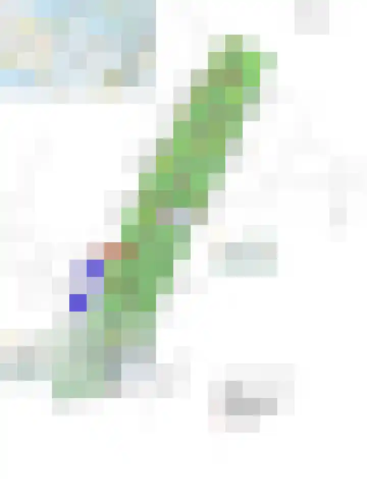 Heetveld 1 R 69 Sint Jansklooster thumbnail 34