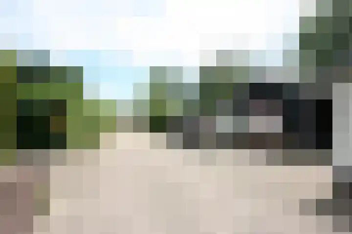 Heetveld 1 R 69 Sint Jansklooster thumbnail 39