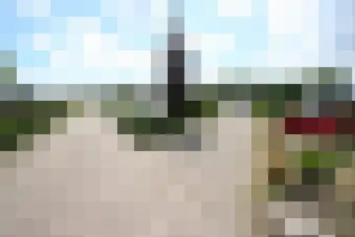 Heetveld 1 R 69 Sint Jansklooster thumbnail 40