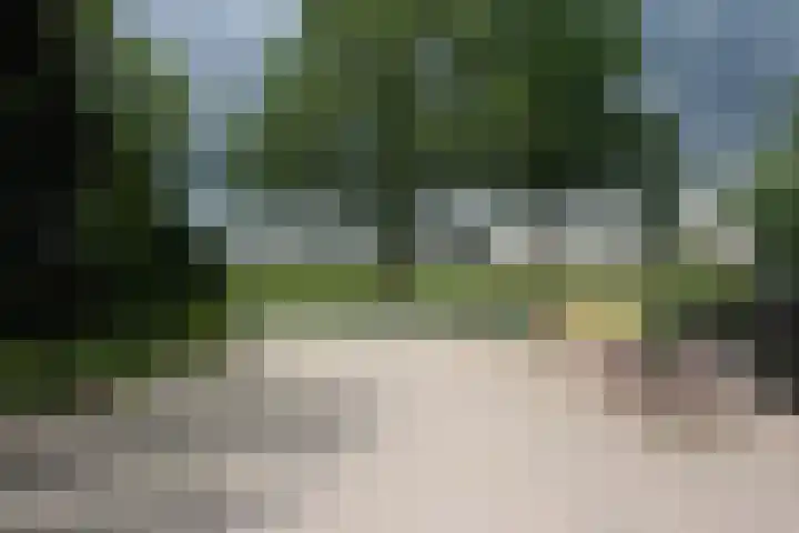 Heetveld 1 R 69 Sint Jansklooster thumbnail 42
