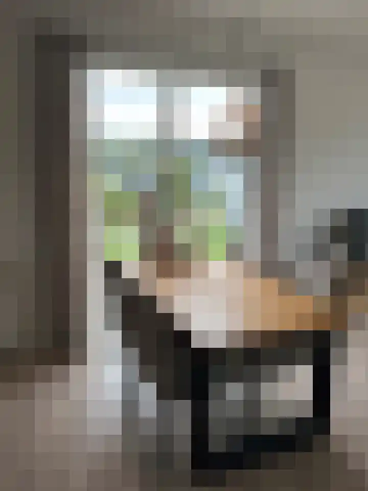 Heetveld 1 R 69 Sint Jansklooster thumbnail 7