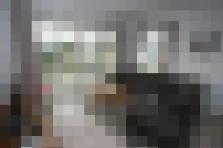 Heetveld 1 R 69 Sint Jansklooster thumbnail 8