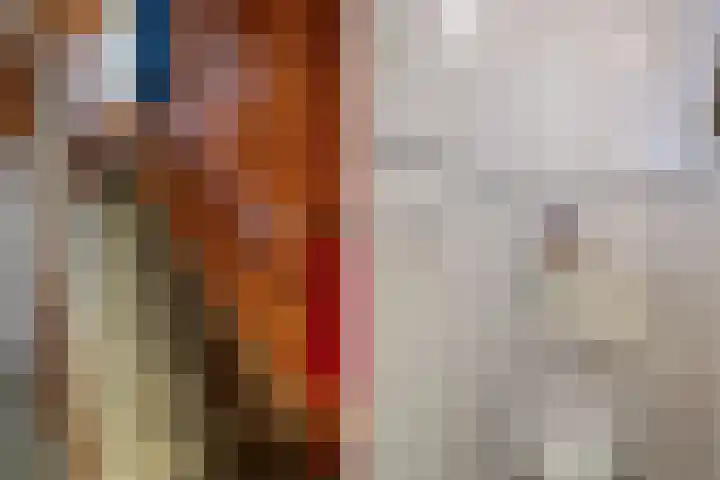 Heetveld 26 Sint Jansklooster thumbnail 11