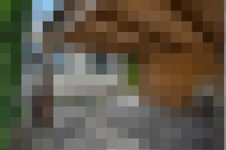 Heetveld 26 Sint Jansklooster thumbnail 27
