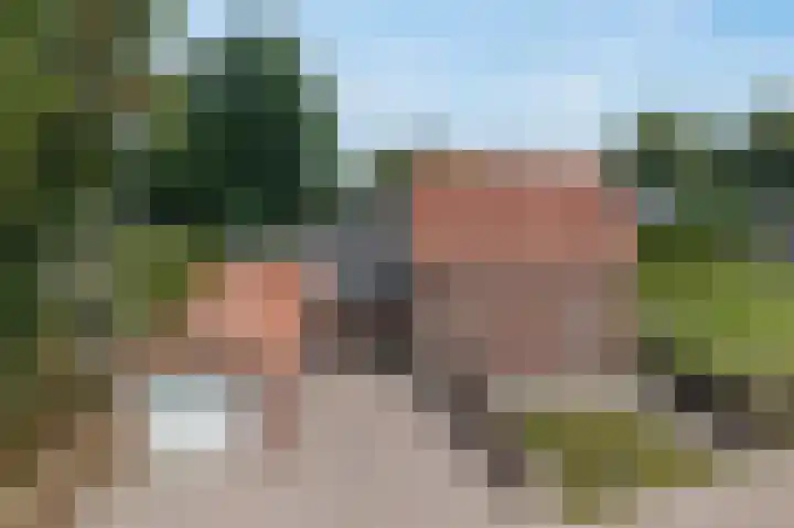 Heetveld 26 Sint Jansklooster thumbnail 31