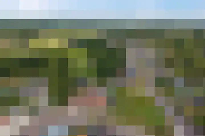 Heetveld 26 Sint Jansklooster thumbnail 32
